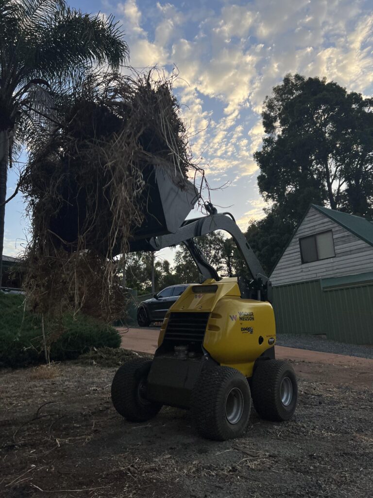 DINGO K95 WHEELED DIGGER Hire Baldivis Hire